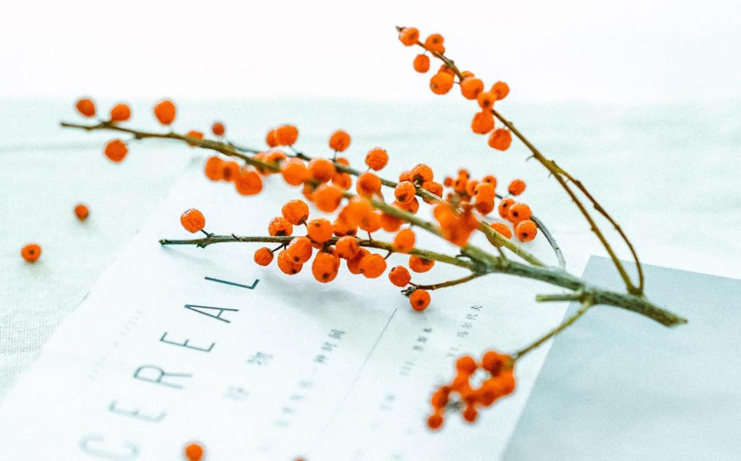 微信里被删除的有两种人,微信里是不是很多人都可以删除了