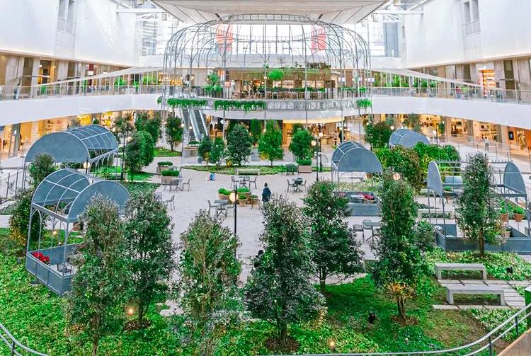 局破中破局,购物中心新零售突围