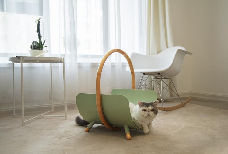 加菲猫屁屁总是带便便,加菲猫的便便什么样