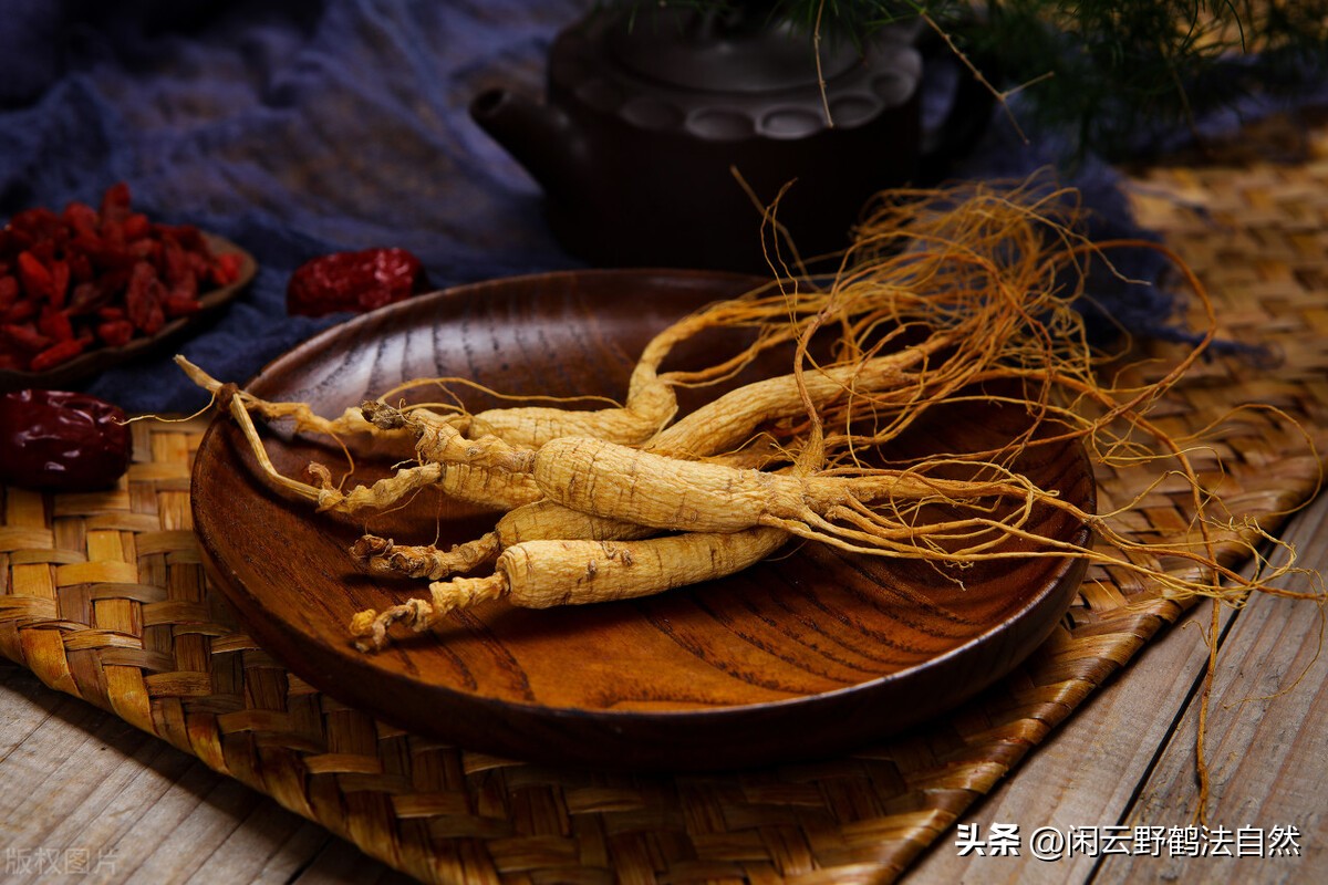 西洋参养生茶提高免疫力,西洋参可以调整免疫系统