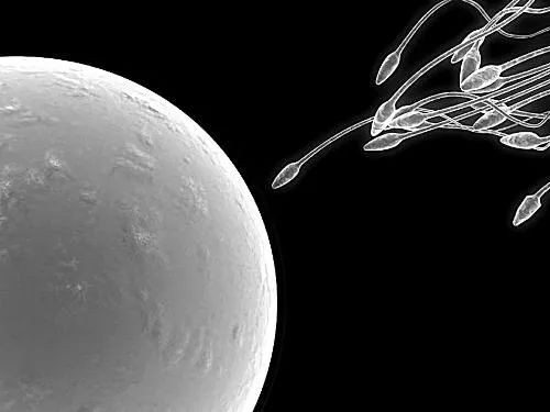 试管前怎么调理提高精子质量,做试管的精子检查需要检查哪些