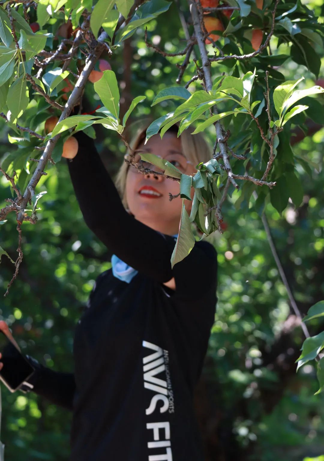 天津春天亲子徒步旅游路线推荐,天津户外徒步一日游推荐