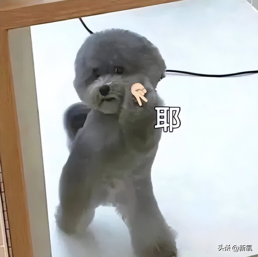 24岁媚眼如丝恋爱脑，10年后帅过前任，她情丝和头发一起斩断了？