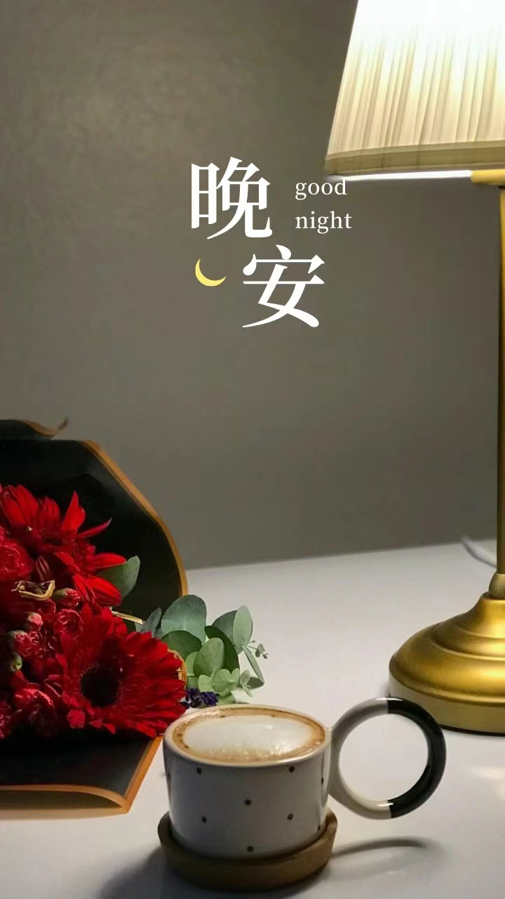 晨起暮落的忙碌是我生活的态度,晚安正能量句子往事清零爱恨随意