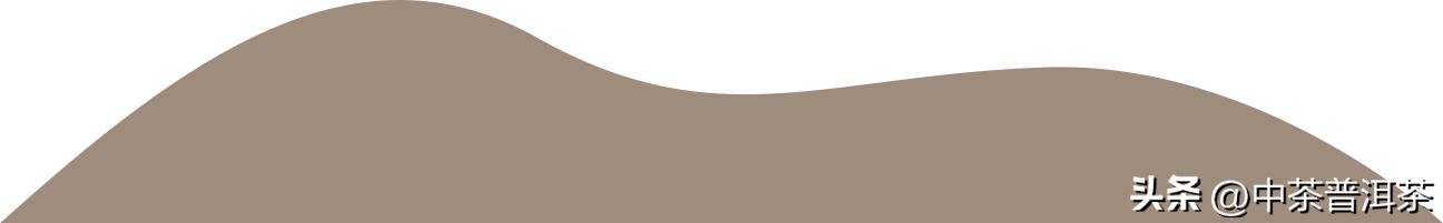 中茶名山茗,中茶茗山系列评测
