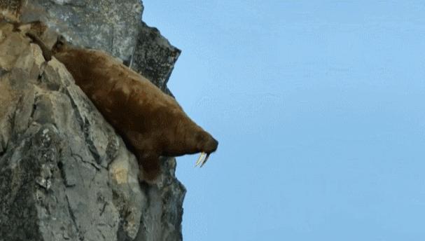 暑假怎么教育孩子,暑假怎么教育初中儿子