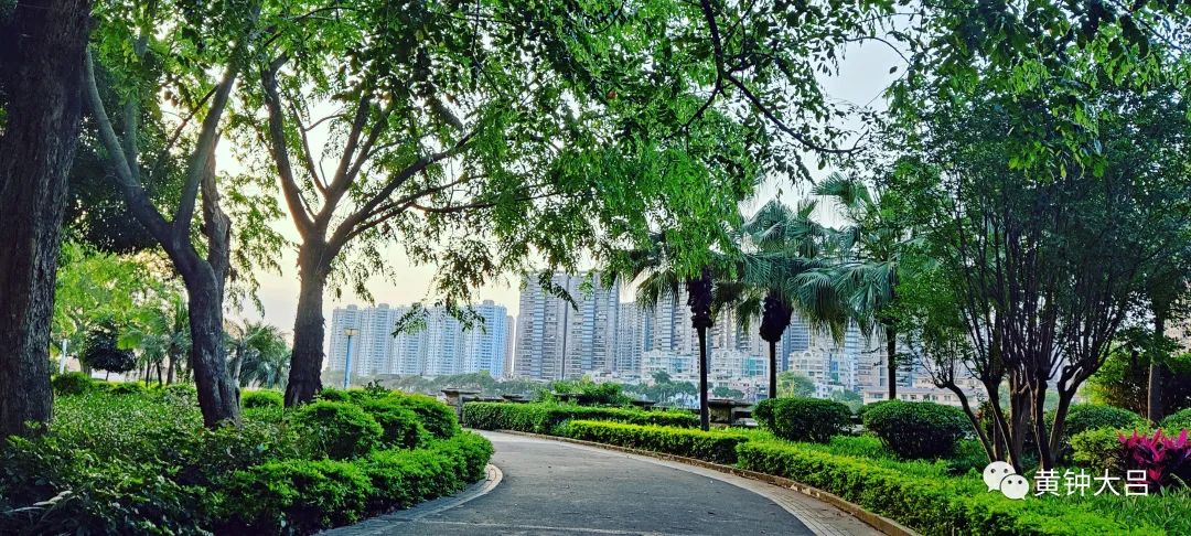 为了孩子教育就开始选学区房,到底该不该为了孩子买学区房