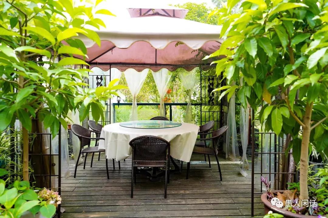 宝刀不老酒价格,宝刀不老演唱