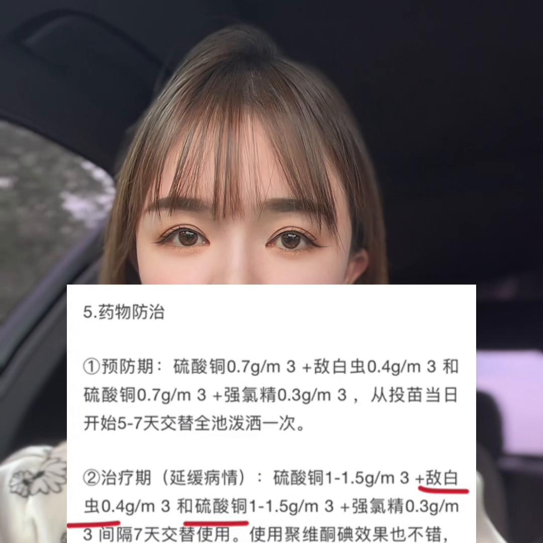 甲鱼滋补效果怎样,甲鱼有多滋补