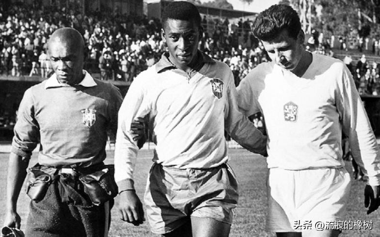 橡树|贝利，我们的足球的“暗号”