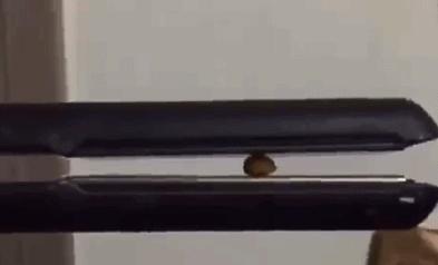 健身房有多乱知乎,健身房真的乱吗知乎后续