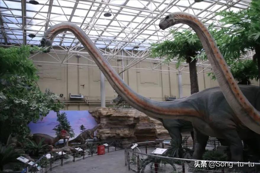 北京51家免费博物馆全攻略,北京18家一级博物馆