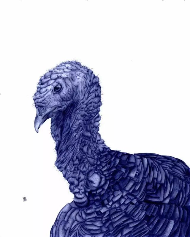 圆珠笔作画简单,2块钱圆珠笔