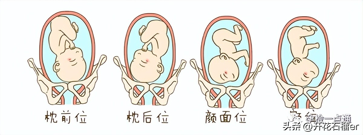 胎儿几个月容易胎停,怀孕胎位不正多少周定胎位好一点