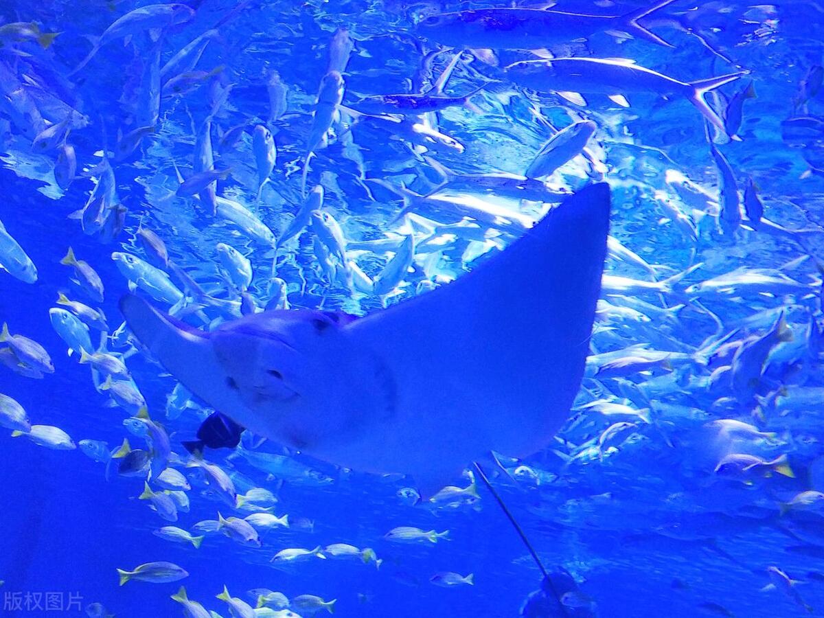 合肥附近十大景点排名,合肥自驾游十大必去景点