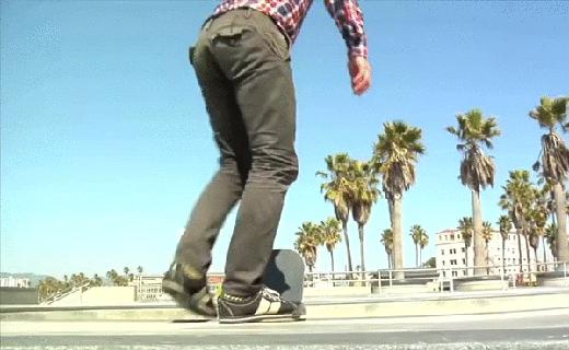 真实大象图片大全可爱,真实野生大象图片