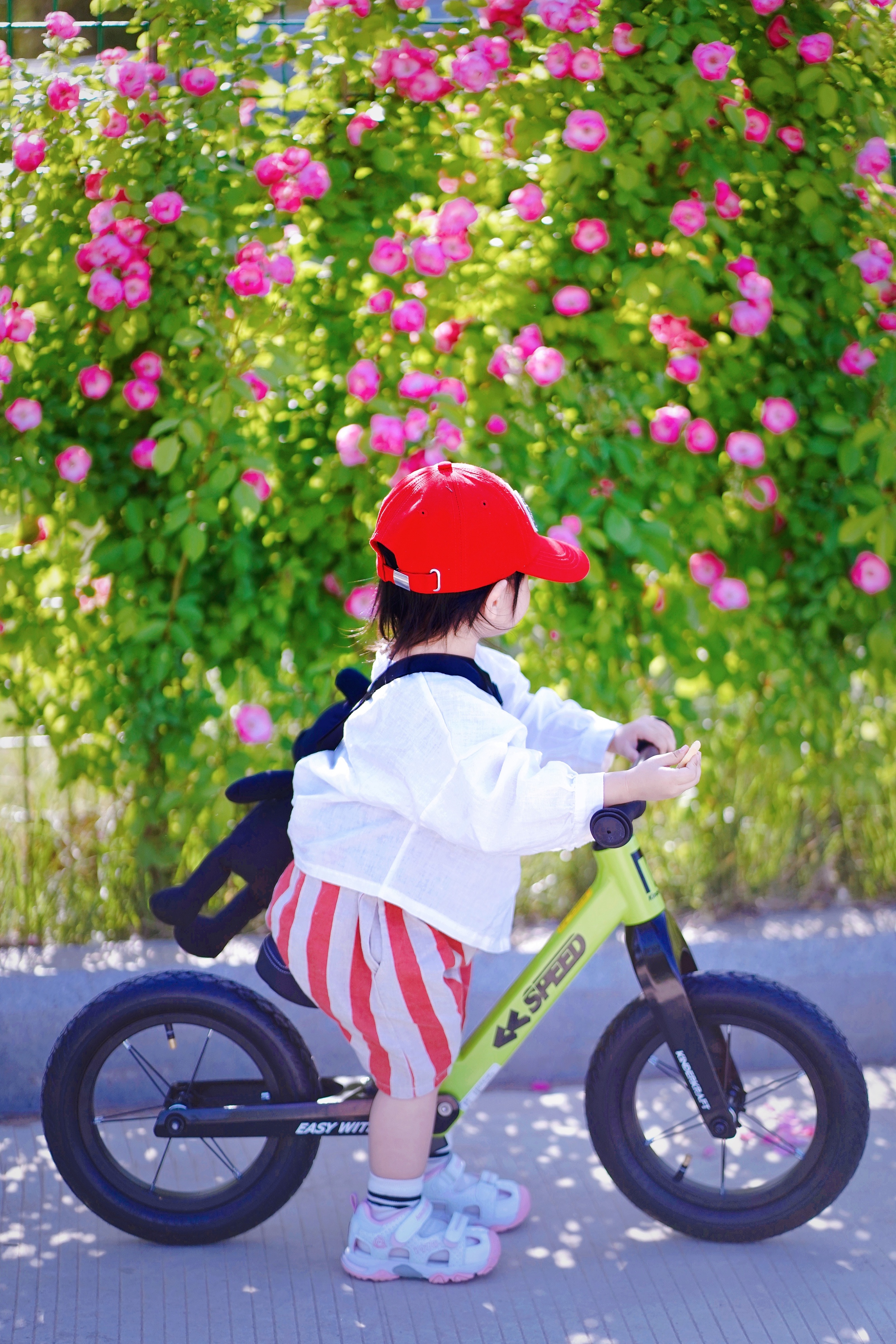 平衡车有什么好处和坏处,小孩练平衡车有什么好处与坏处