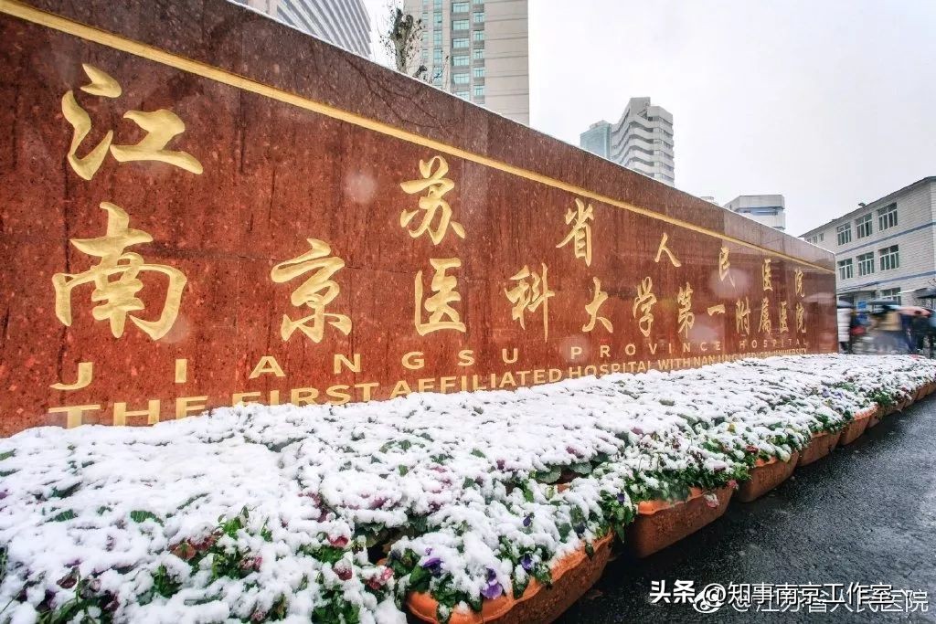 南京市省人民医院是什么档次,江苏省人民医院在南京哪个区