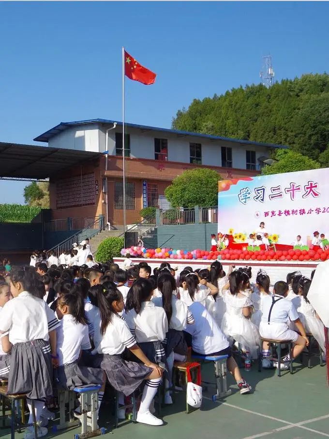 西充县槐树镇小学：学习二十大，争做好少年