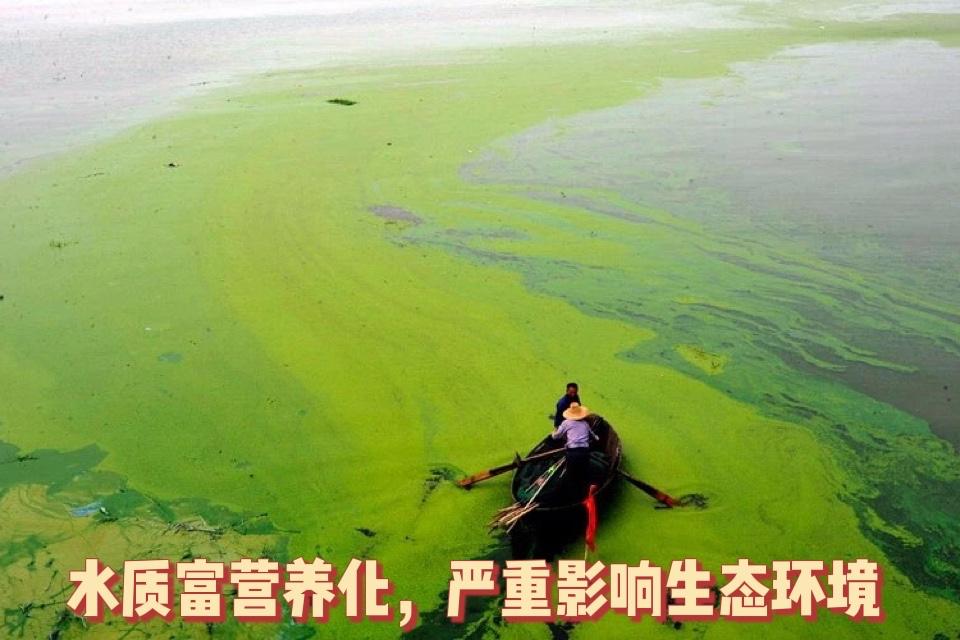 洗涤品牌第一,中国老字号品牌洗衣液