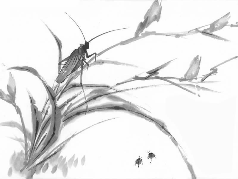 五寨能去哪儿玩,五寨自驾游详细攻略