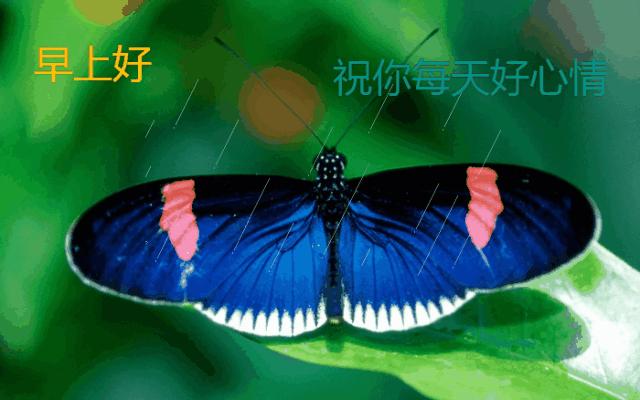 最新漂亮周六早上好表情图片,清晨早上好暖心祝福动态图片