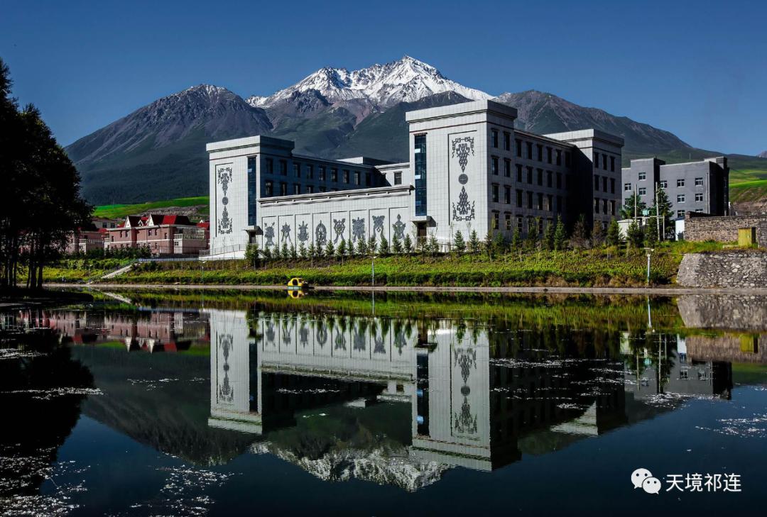 青海祁连山哪个位置最好,祁连山为什么一面森林一面草原