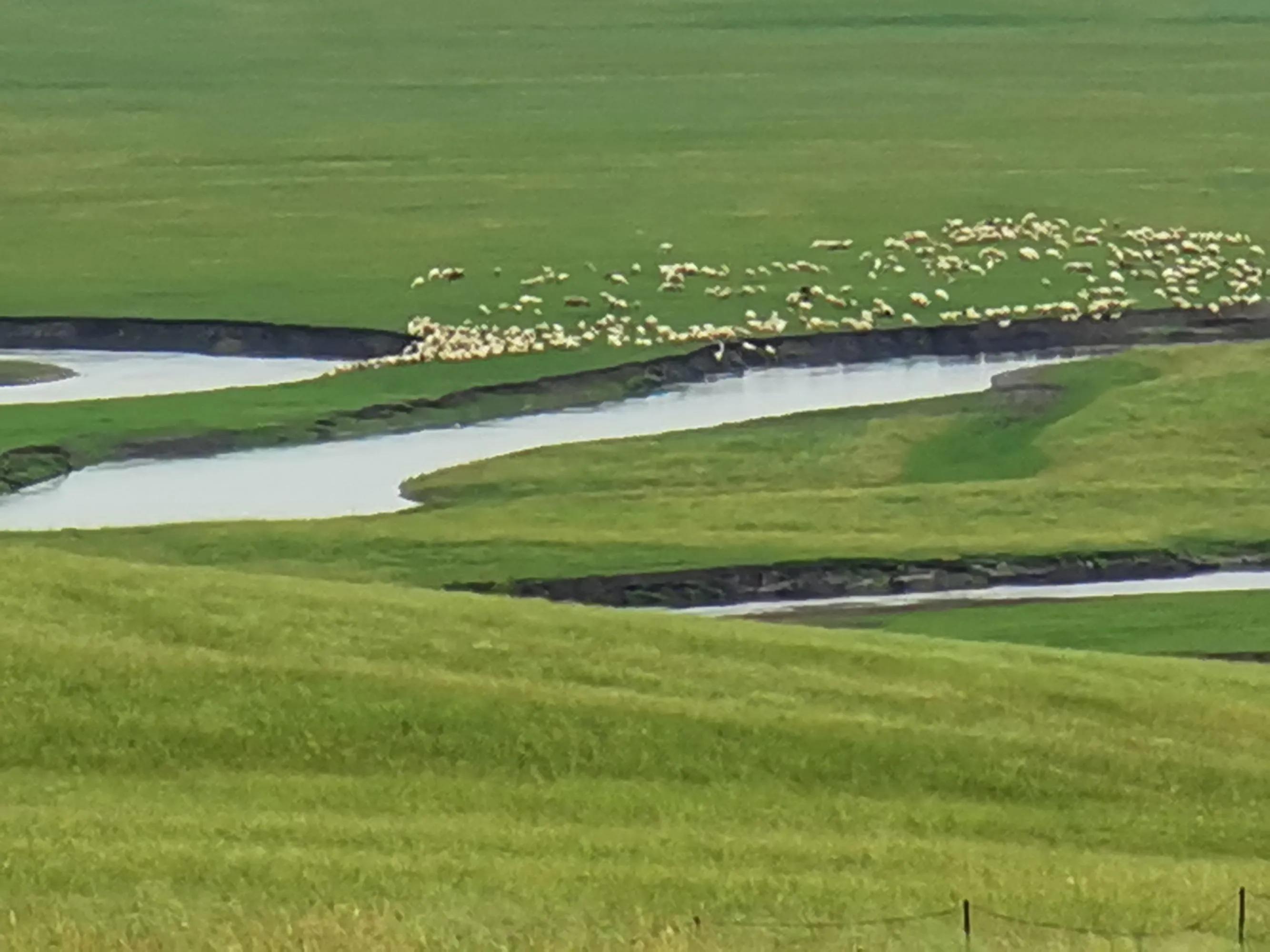 呼伦贝尔六日游自由行攻略 (呼伦贝尔八日游旅游攻略)