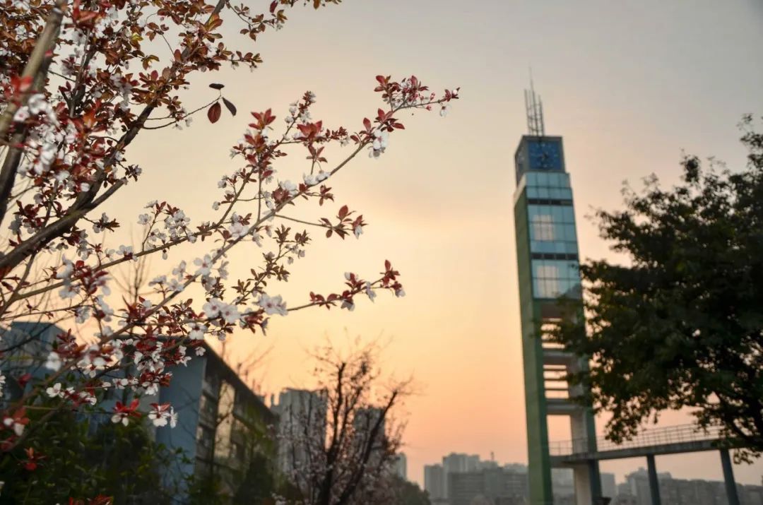 本科二批次招生中的成渝地区院校简介