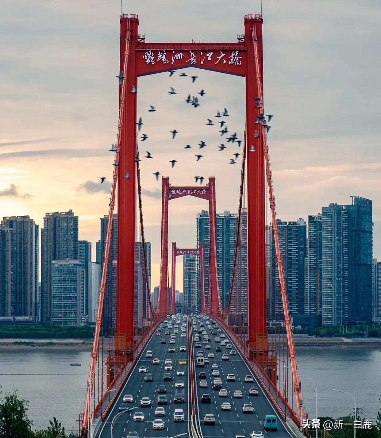 我国重点打造的三大世界级城市群,国家级都市圈有哪些城市