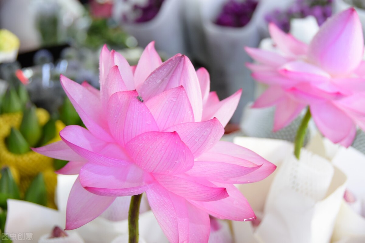 一场突如其来的葬礼后，我用这3点，治愈我自己