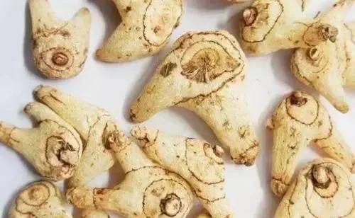 促进胃十二指肠溃疡愈合的药,促进回肠溃疡愈合的药