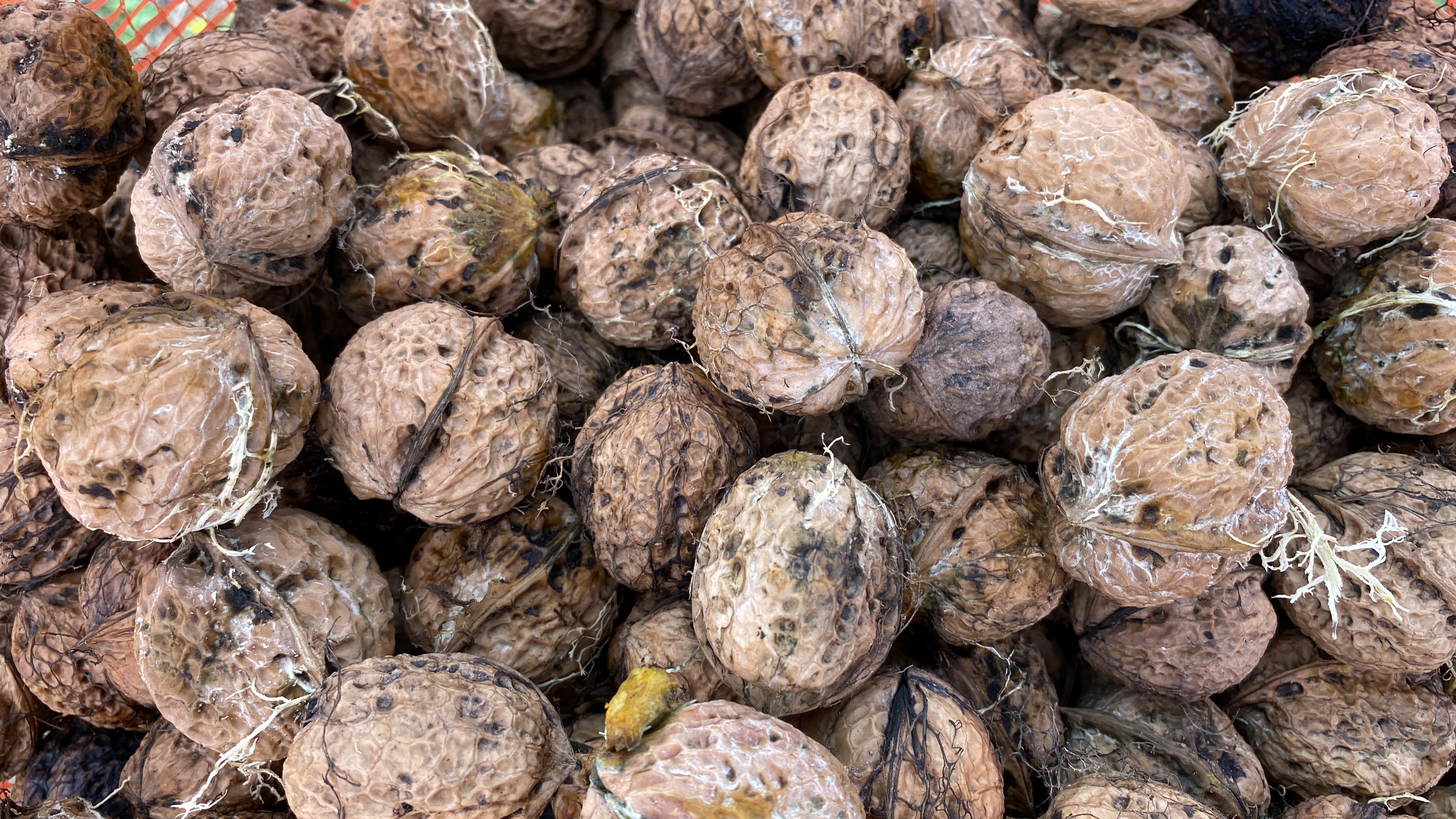 核桃怎么做好吃,核桃包浆过程