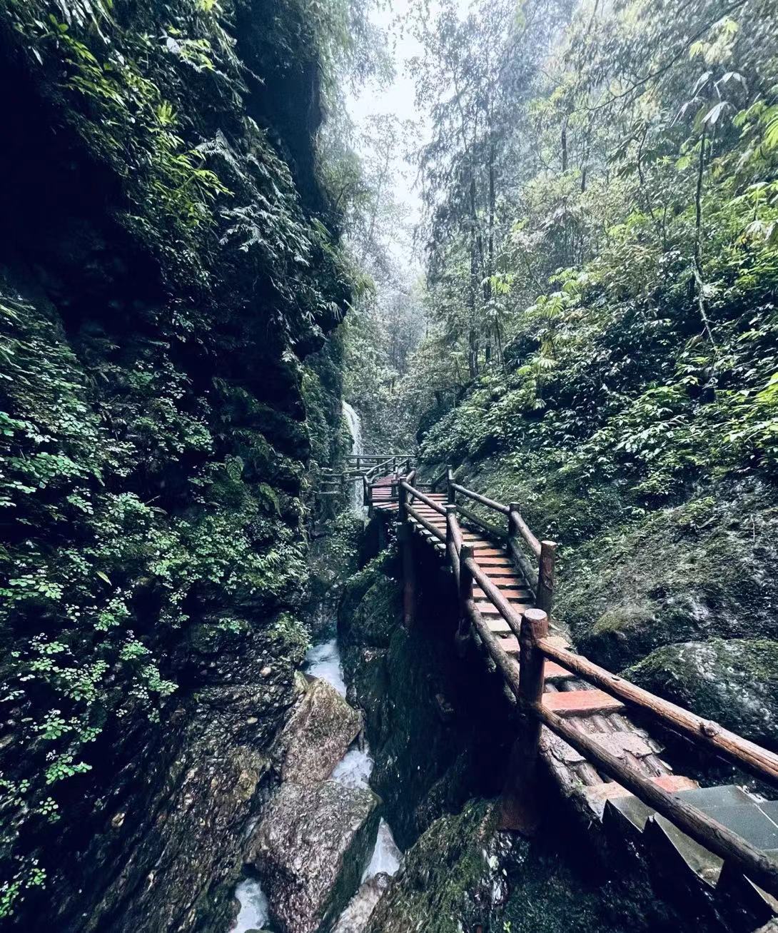 问道青城山，一座值得你爬了又爬的山