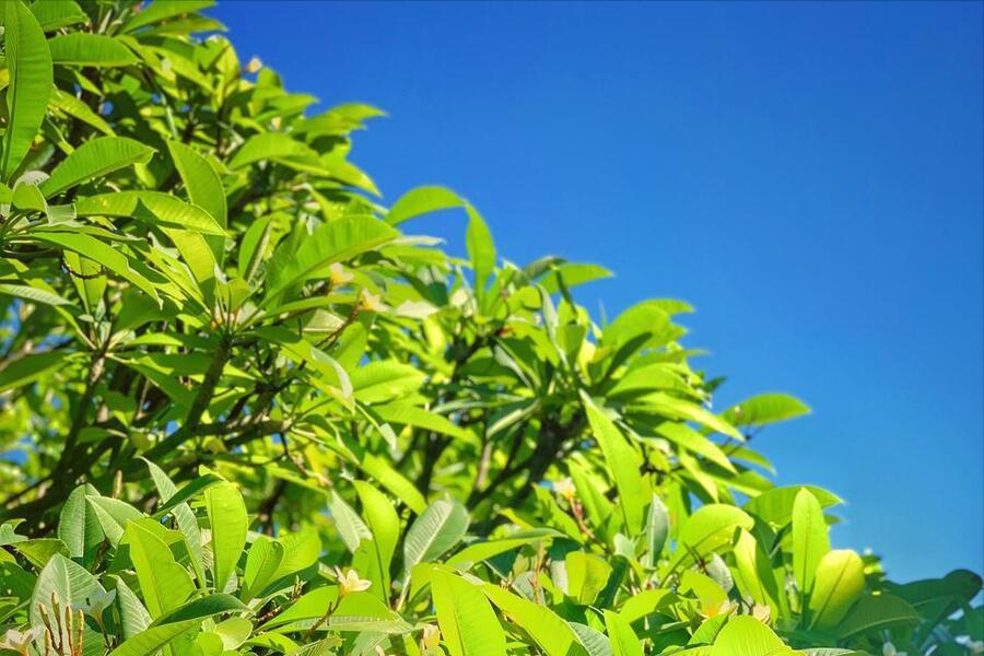 索马里曾经富裕,索马里是个怎样的国家