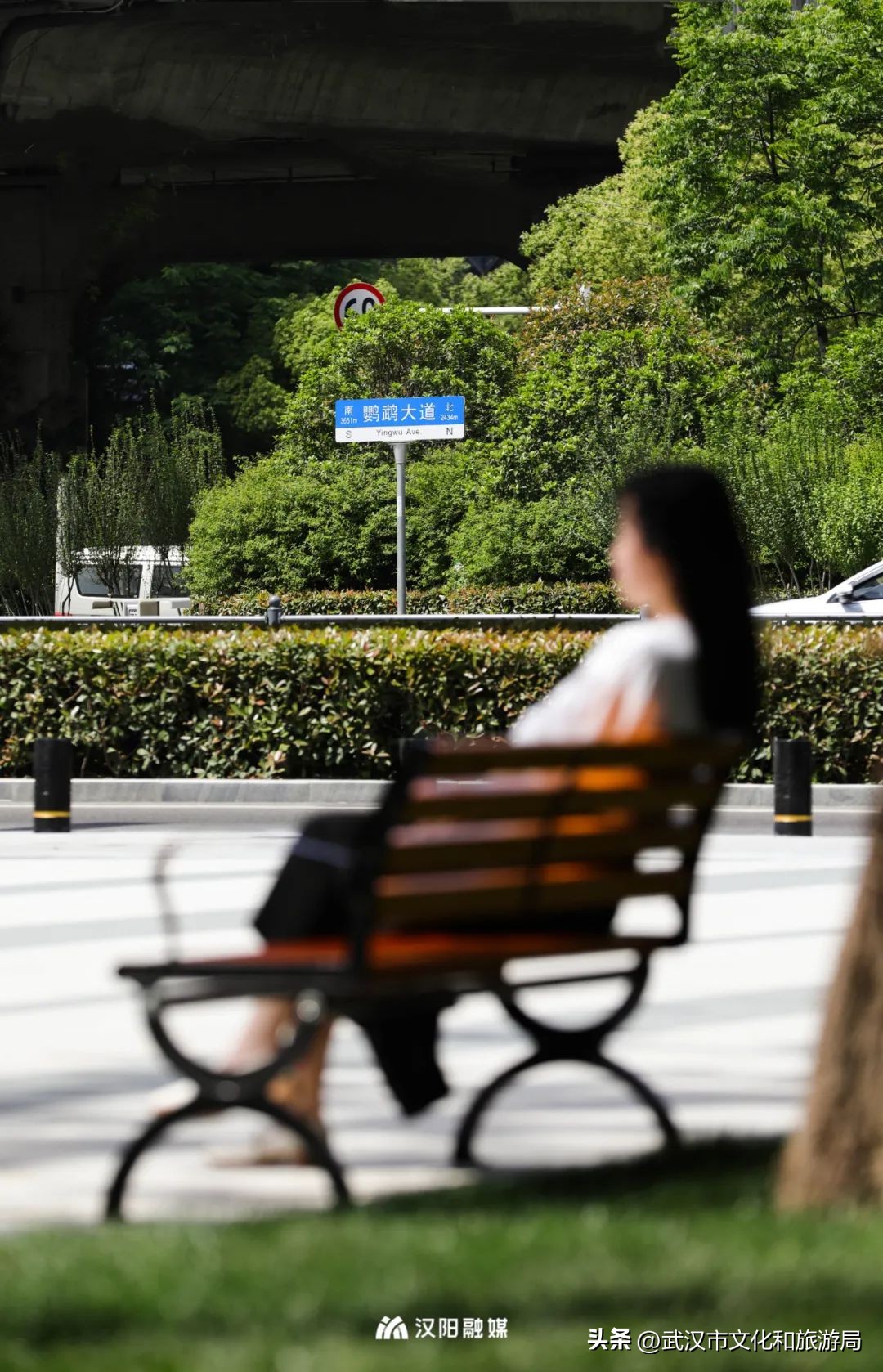 人均绿地面积第一,汉阳人人有份