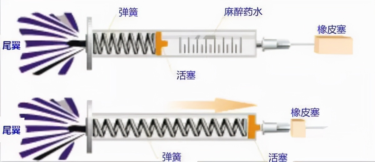 毒狗针究竟有多毒？专家：毒狗针有几种，有一种毒死的狗千万别吃