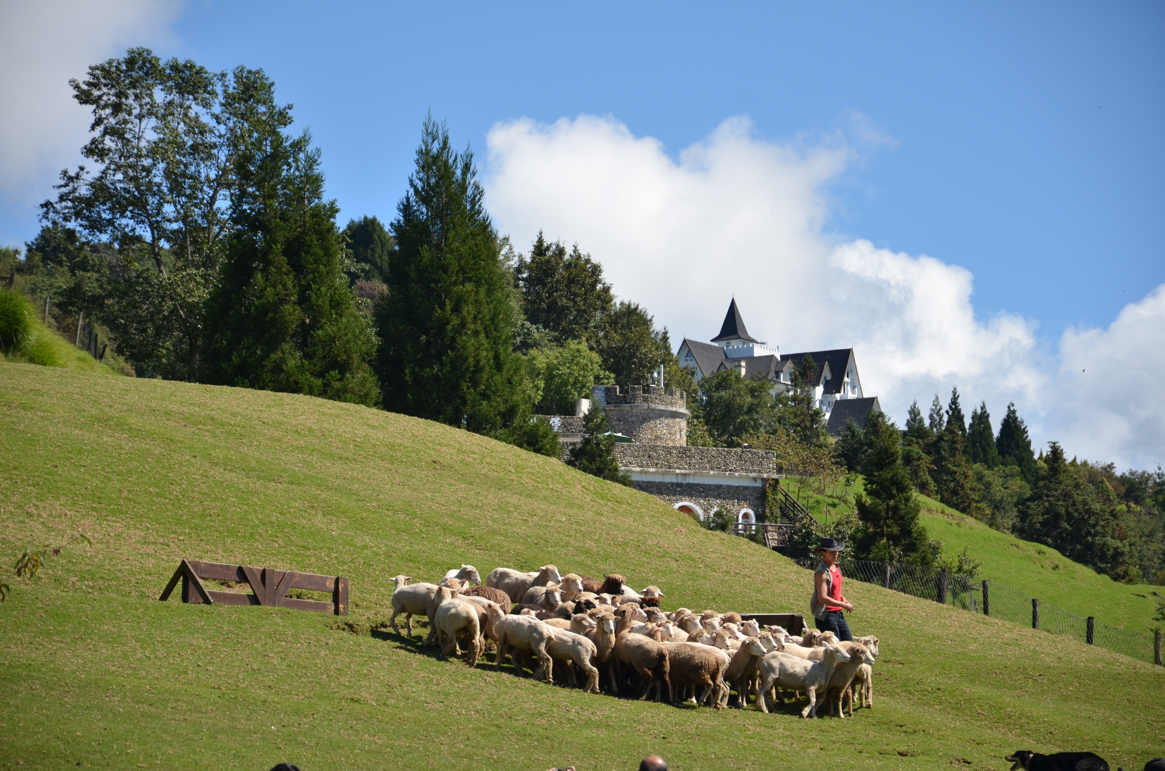 台湾清境农场旅游攻略,台湾旅行记视频