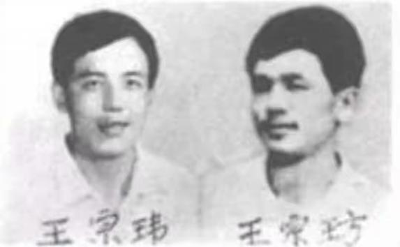 东北二王特大杀人案,三万军警围捕东北二王全集