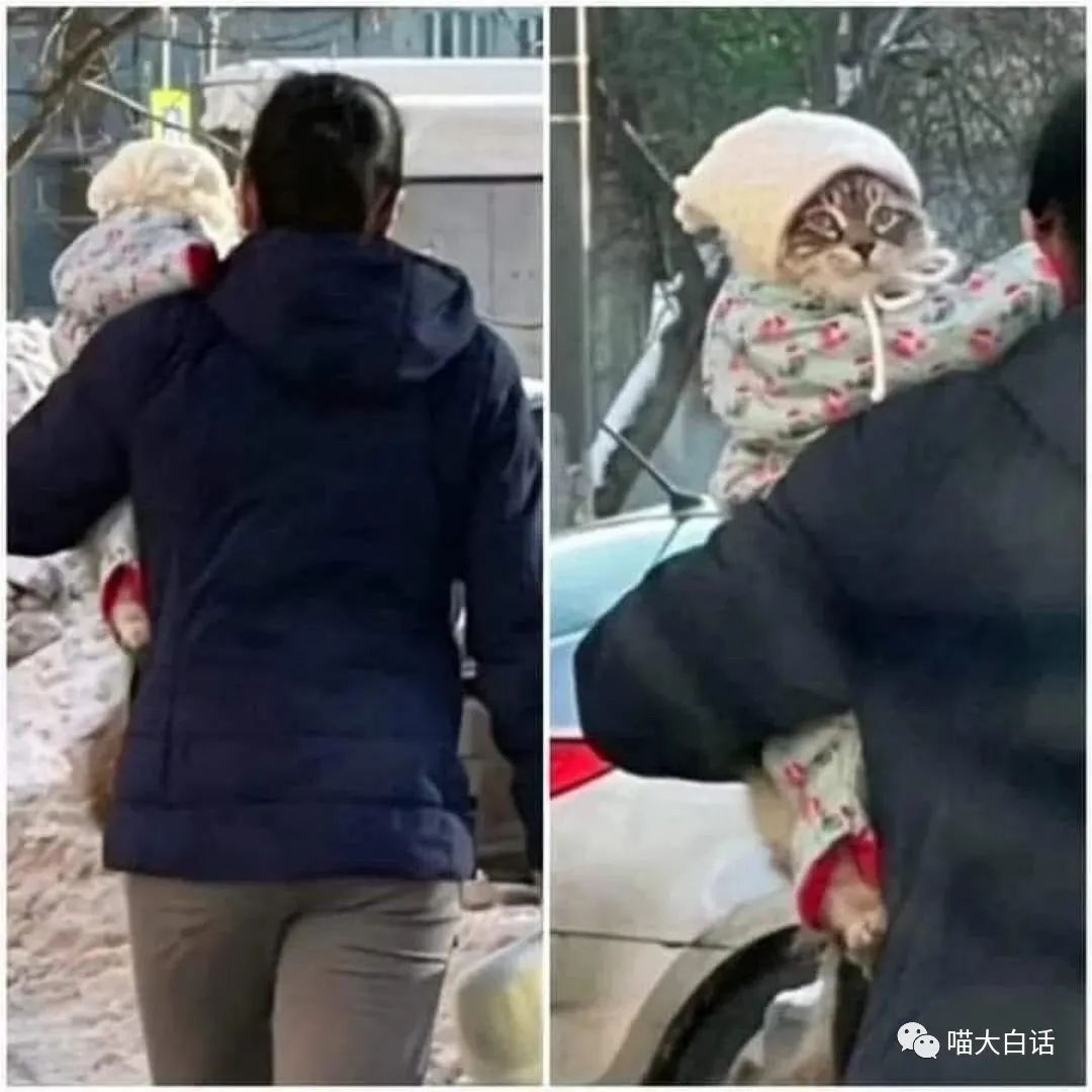 不要乱起淘宝名字,淘宝名字不能随便取