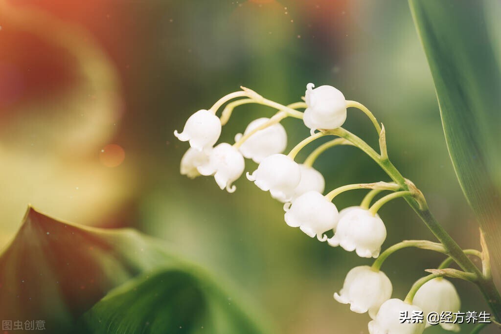 治疗过程中，医生和患者的配合