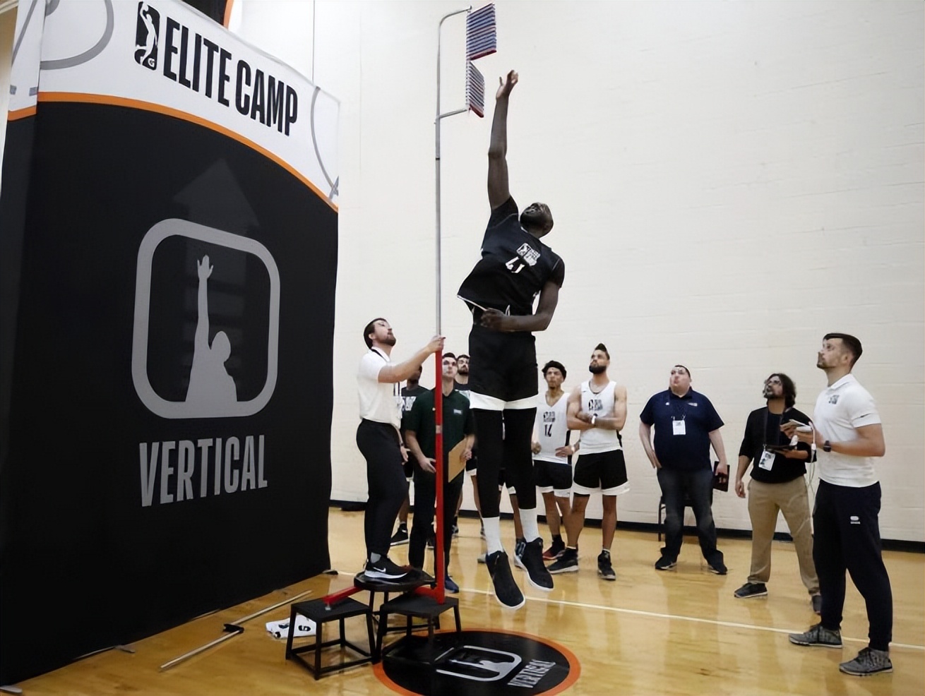 nba球员最新真实身高,nba球员为什么谎报身高