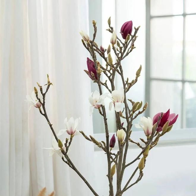 特色青团、时令鲜花...长宁盒马门店上新啦！