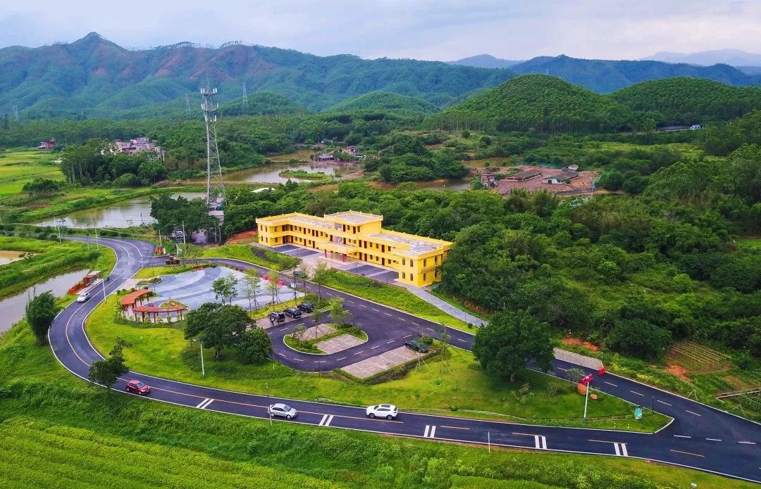 为什么会爱上顺德,恩平人为什么喜欢去委内瑞拉