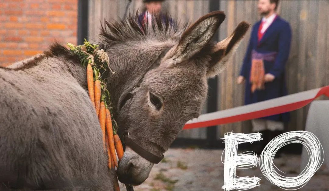 关于驴的电影大全,关于驴的电影解说