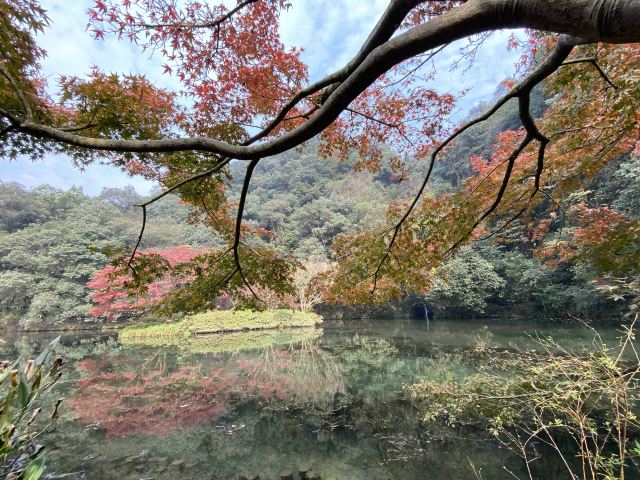 杭州周边赏秋好去处,杭州赏秋最佳攻略