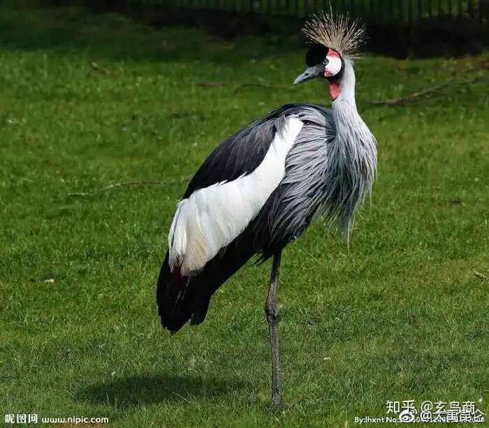 山海经2012白话全译彩图版pdf,山海经海外西经是指哪里