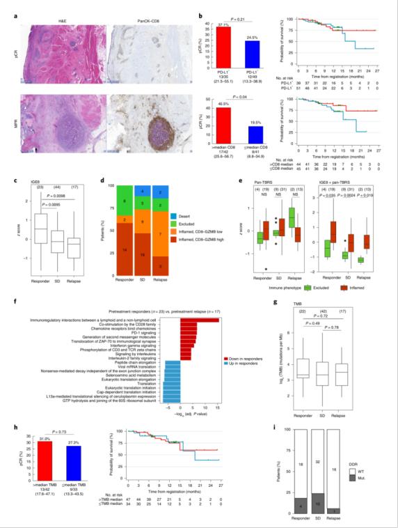 肌层浸润性膀胱癌中药,肌层浸润性膀胱癌化疗方案