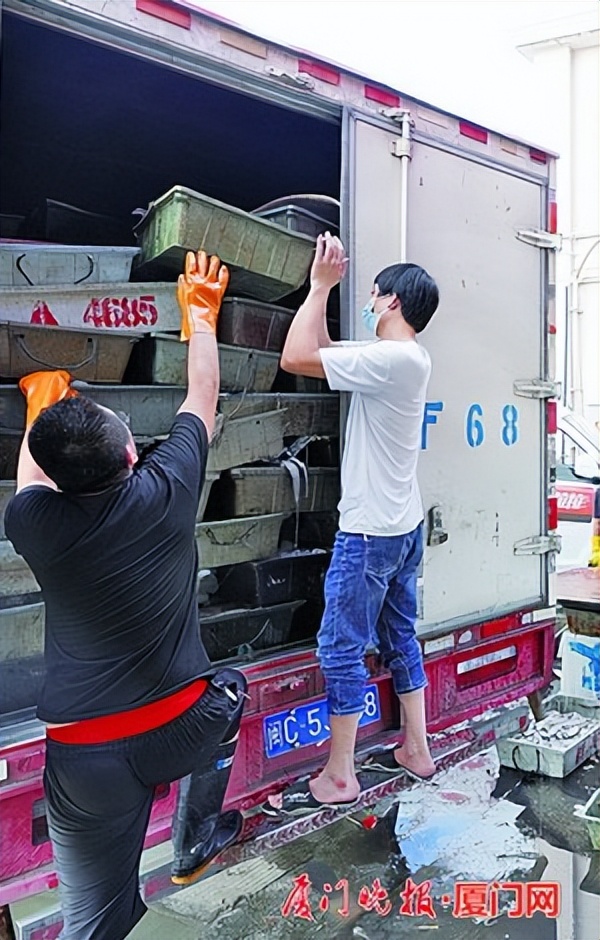 厦门现在什么海鲜最新鲜,厦门最新海鲜价格3月份