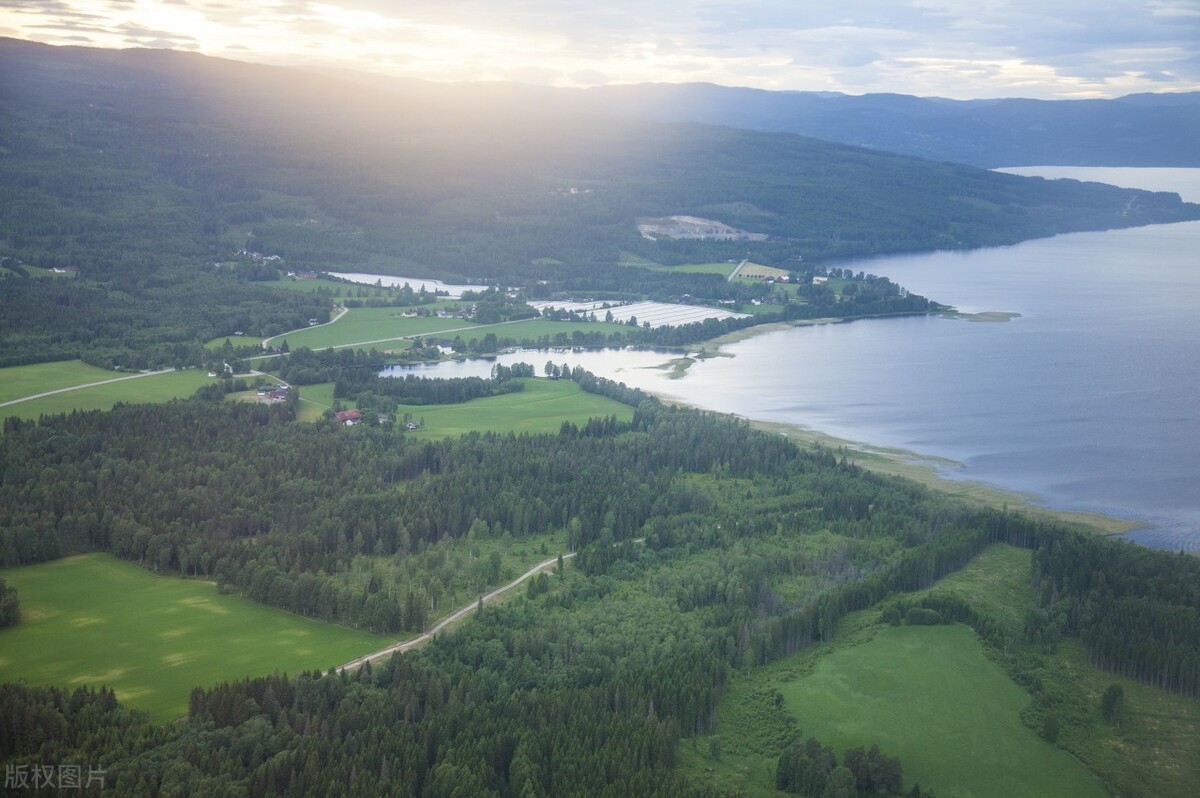 生酮饮食新手指南，教你一招，轻松减肥